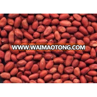 bulk raw peanuts